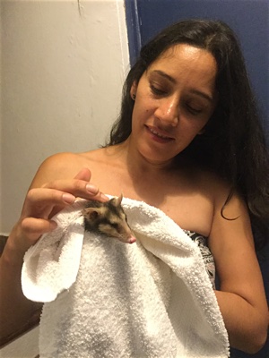 Esme holding the juvenile opossum with a towel