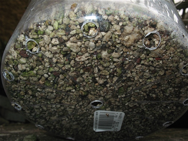 Underside of a plastic ice bucket with holes drilled in it