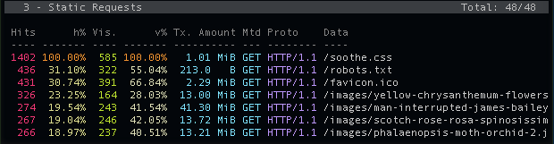 Static requests - terminal