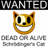 Schrödinger's cat wanted, dead or alive