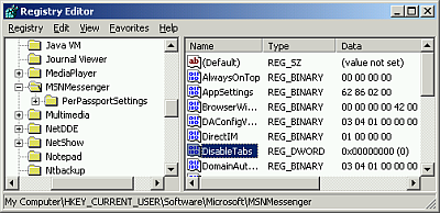 MSNMessenger selected in the registry editor