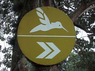 Sign with hummingbird logo