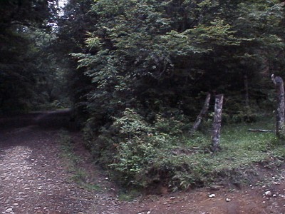 T-junction, as seen from the direction of Banderilla