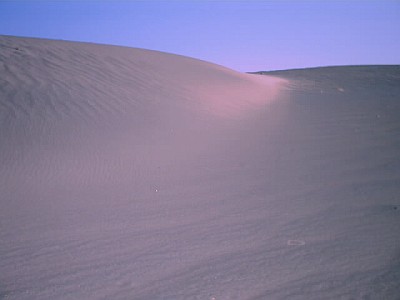 Desert look