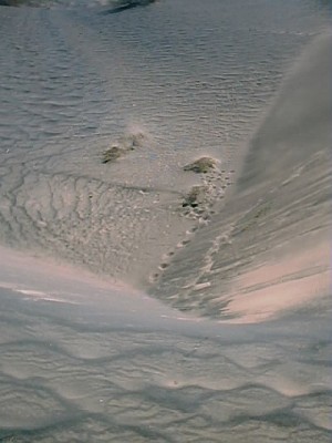 Looking down from a sand dune