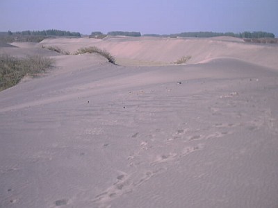 Sand dunes