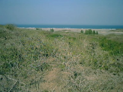 The sea near the town of La Antigua.