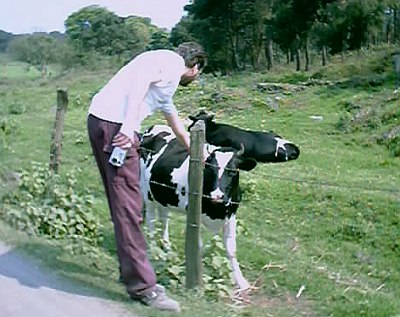 John and some cows