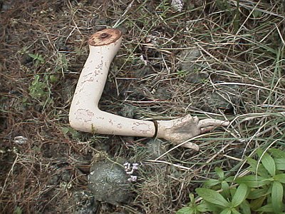 Arm of the murdered mannequin
