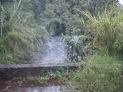 A river gone wild, taken from the bridge