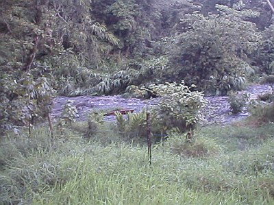 A river gone wild, side view