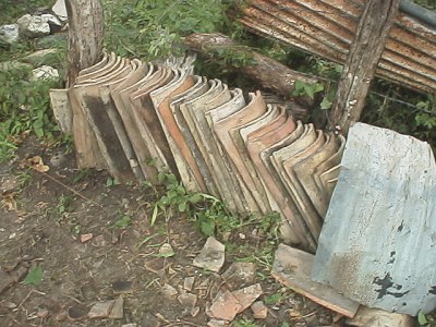 Roof tiles, scorpion and tarantula habitat.