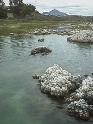 The crater lake, notice the stromatolites in the water.