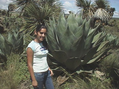 Esme in front of a big agave