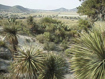 Terrain near San Luis Atexcac