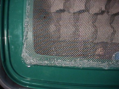 Lid with wire mesh, inside