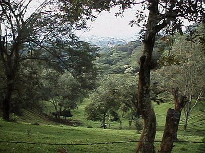 Hills near Xalapa, in the hazy distance is Xalapa