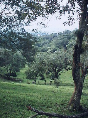 Hills near Xalapa, in the hazy distance is Xalapa