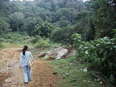 Esme walking down the road