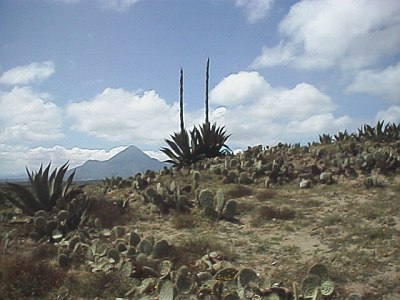 Near El Limn Totalco, in the background the Cerro Pizarro