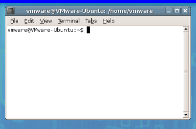 A terminal window under Ubuntu running in the free VMware player