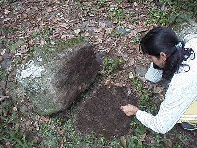 Esme examining the habitat of a vinegaroon