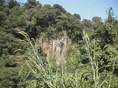 Matlacbatl ravine, near Teocelo