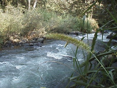 The river, to the right you can see a small part (arc) of the Forgotten Bridge