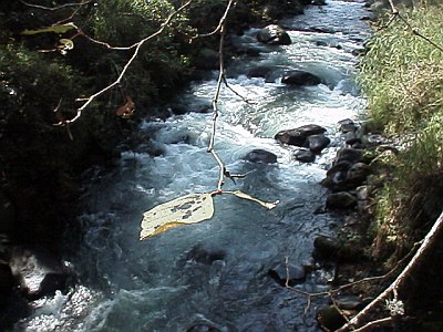 View from the Forgotten Bridge