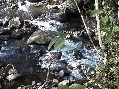 Another view from the Forgotten Bridge