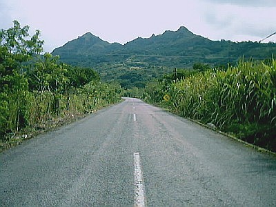 Road to Otates with sugarcane to the right.