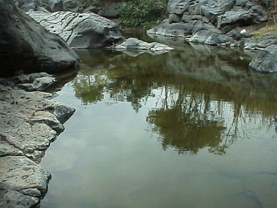 Another pool in the riverbed