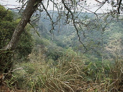 The barranca (canyon)