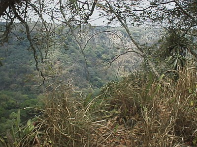 The barranca (canyon)