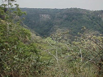 The barranca (canyon), taken from a lower position