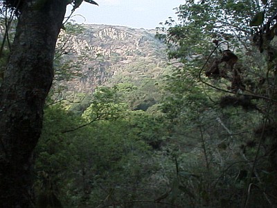 The barranca (canyon)