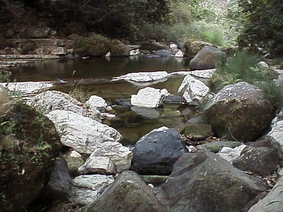 Water at the bottom of the canyon (barranca)