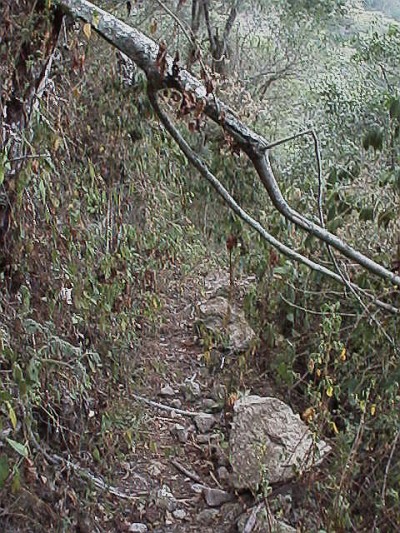 The path when we looked back on the way up