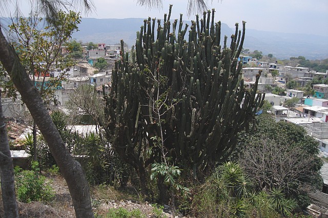 The town of Coyolillo, Veracruz.