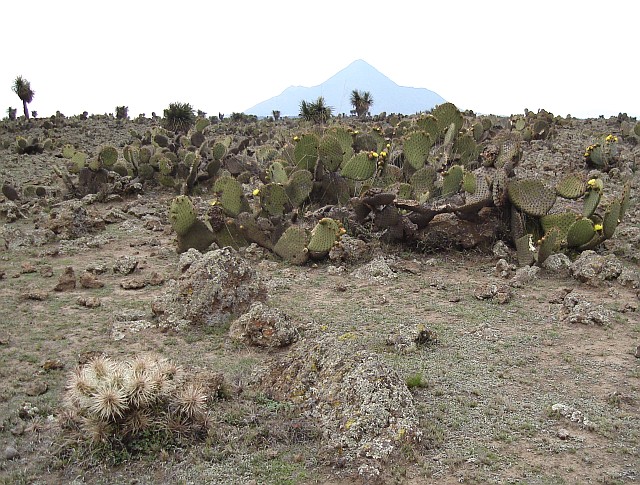 An overview of the landscape, with the Cerro Pizarro in the background.