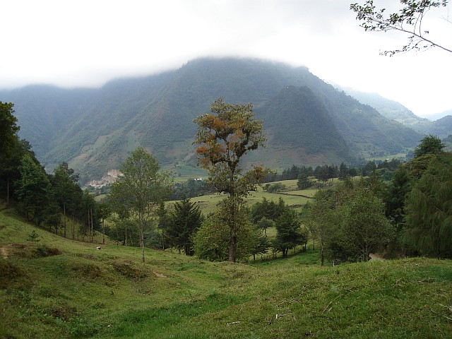 Another green view, notice how the clouds hide the top.