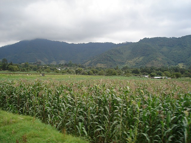 In the distance Ixhuacn de los Reyes (taken from the bus).