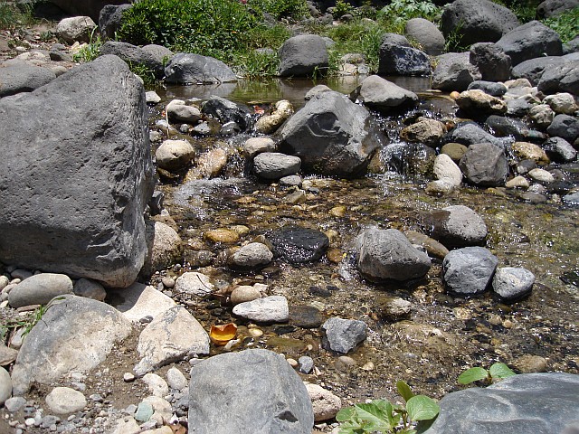 A close-up look of a part of the river.