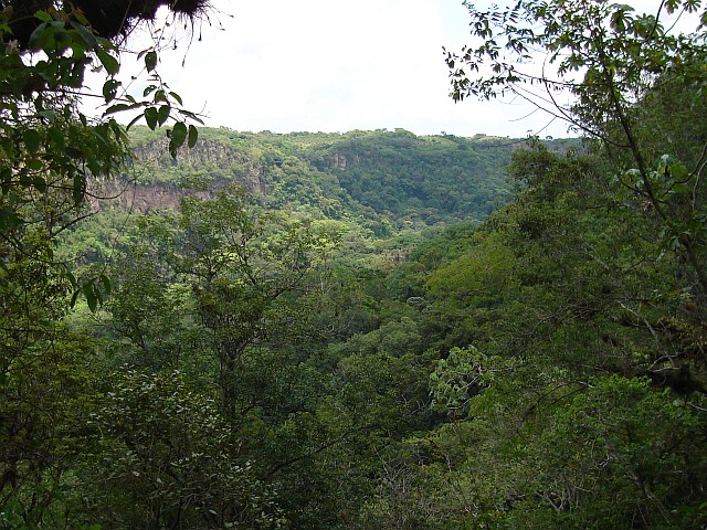 The barranca (canyon) near Chavarillo.