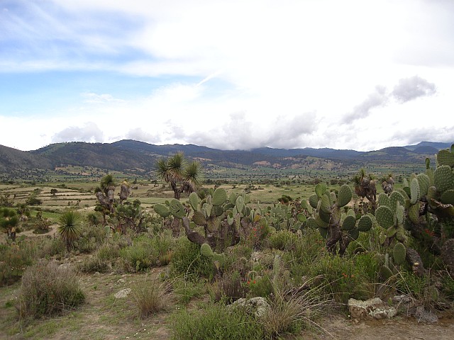 The landscape as seen from the lava field in eastern direction