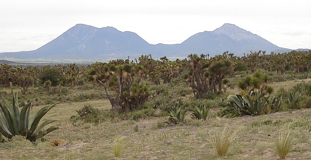 Las Derrumbadas, twin rhyolitic domes. Distance circa 23 km.