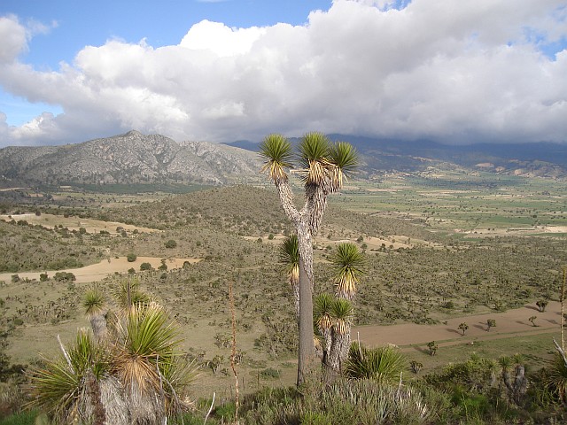 View from the volcano (eastern direction).