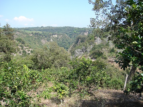 The canyon near Chavarillo.