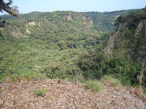 Looking down into the canyon near Chavarillo.