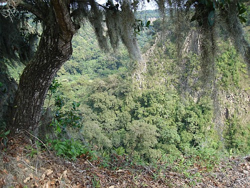 Looking down into the canyon near Chavarillo.